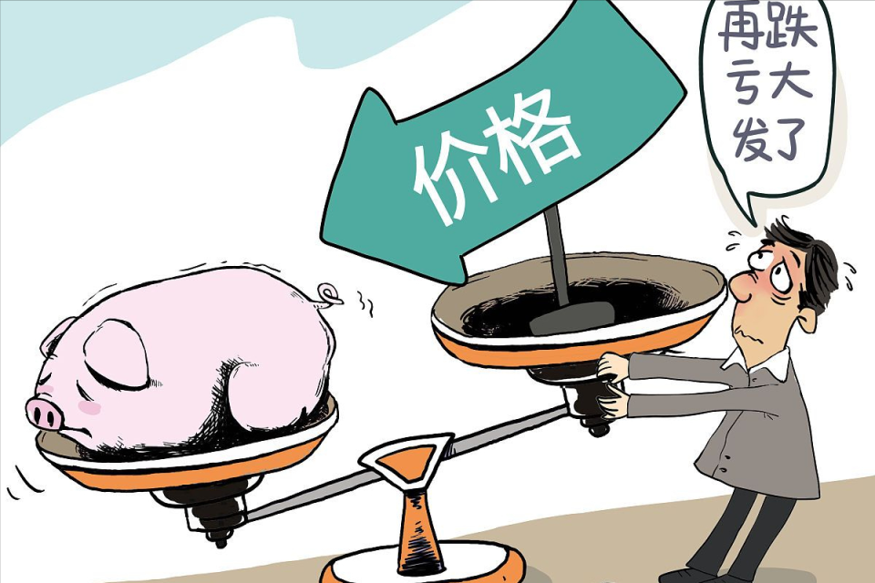 地方新闻 第37页